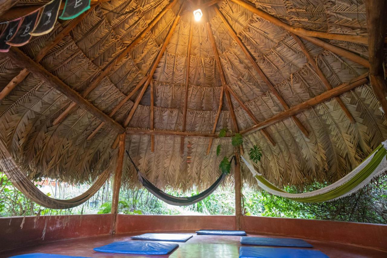 Buddy'S Hostel & Pousada Alto Paraiso Alto Paraíso de Goiás Екстериор снимка