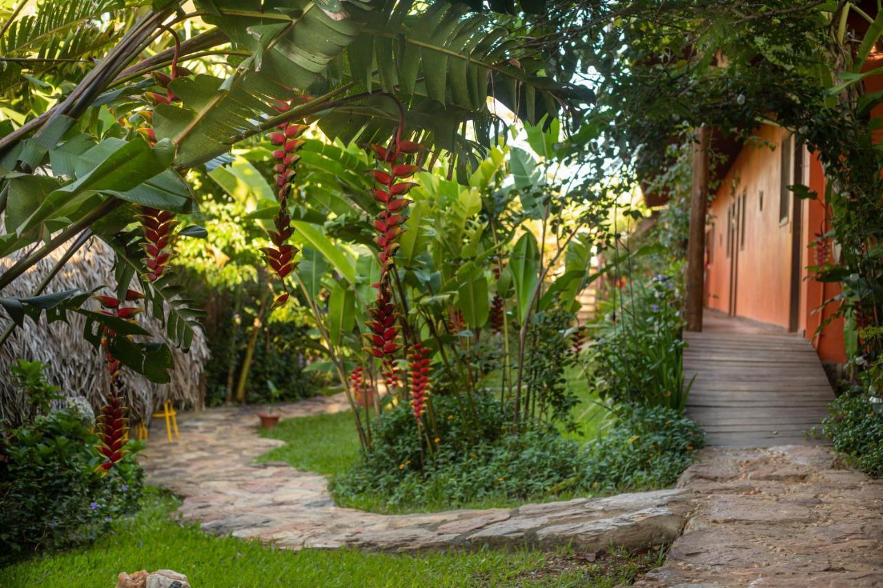 Buddy'S Hostel & Pousada Alto Paraiso Alto Paraíso de Goiás Екстериор снимка